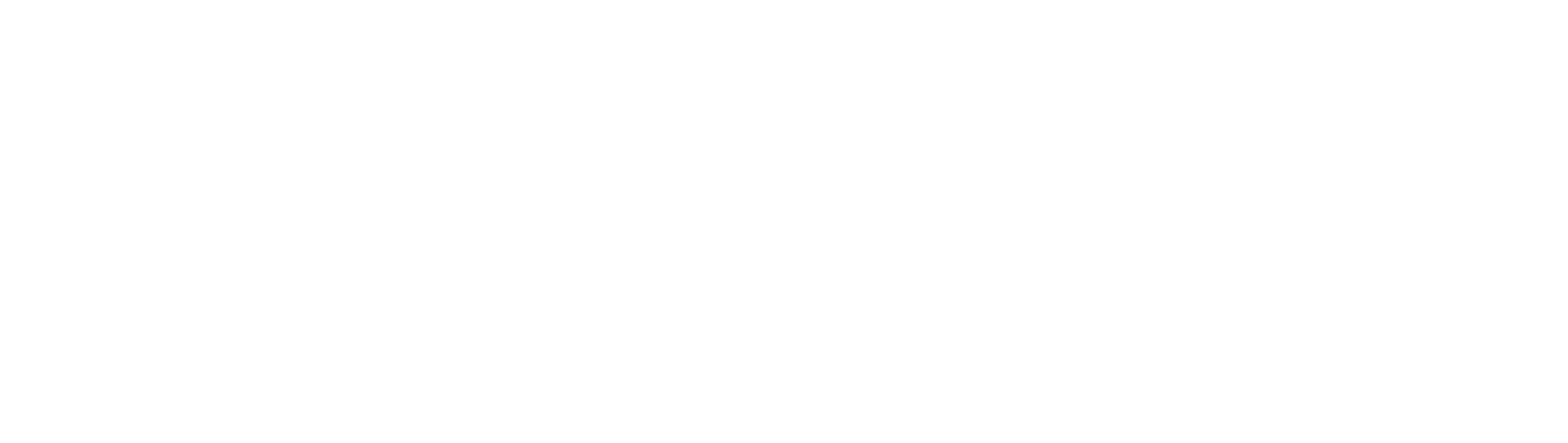 Zoop It